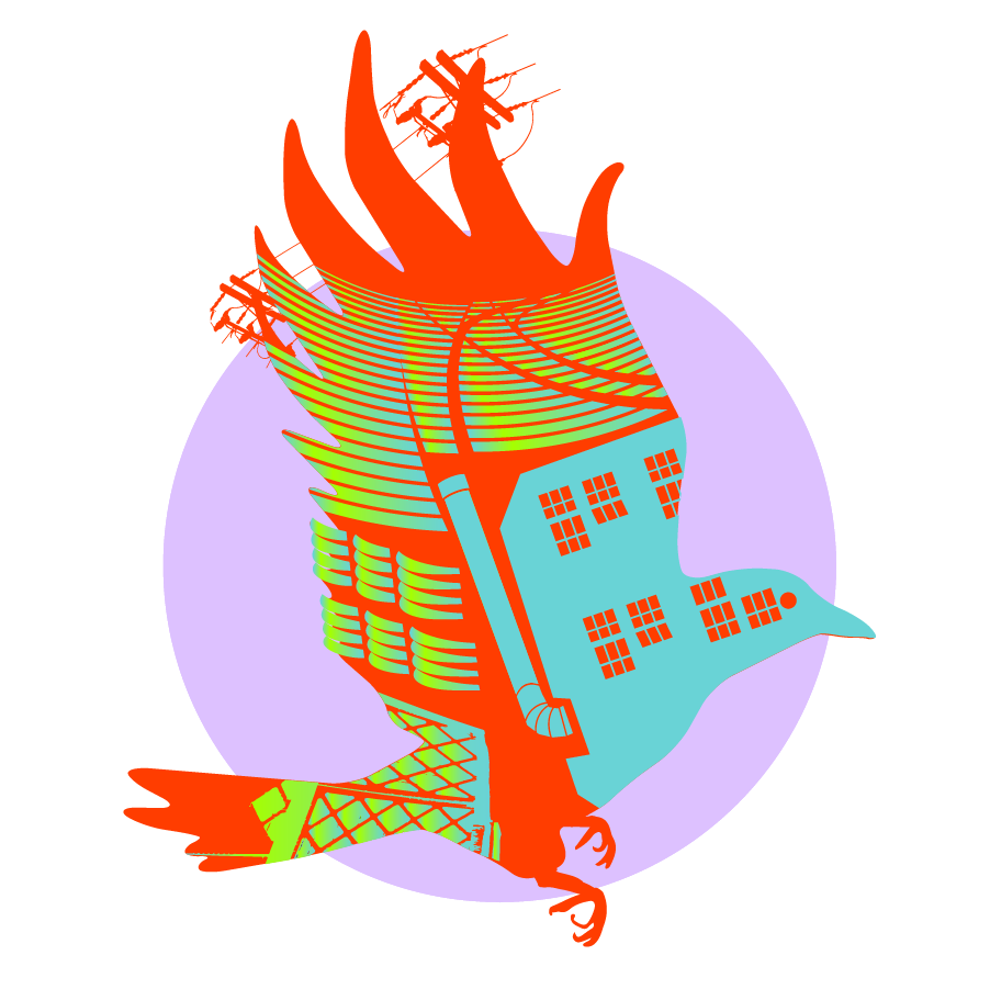 bird